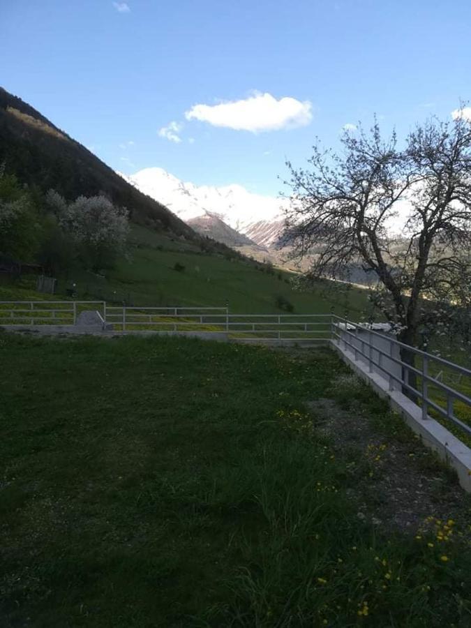 Valodia Guest House In Mestia Bagian luar foto