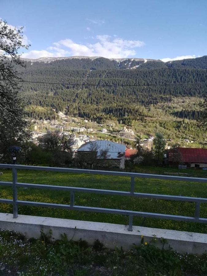 Valodia Guest House In Mestia Bagian luar foto